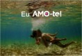 /album/galeria-de-fotos/imagem83-jpg/